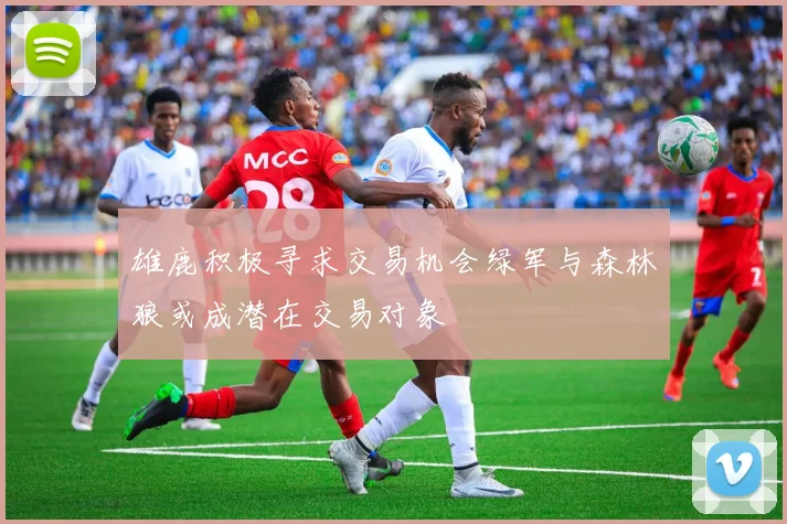 雄鹿积极寻求交易机会绿军与森林狼或成潜在交易对象